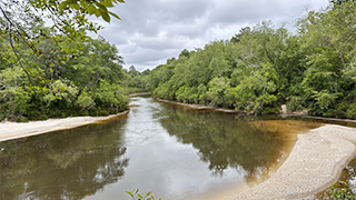 Image of Wolf River in Mississippi.