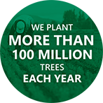 We plant more than 100 million trees each year