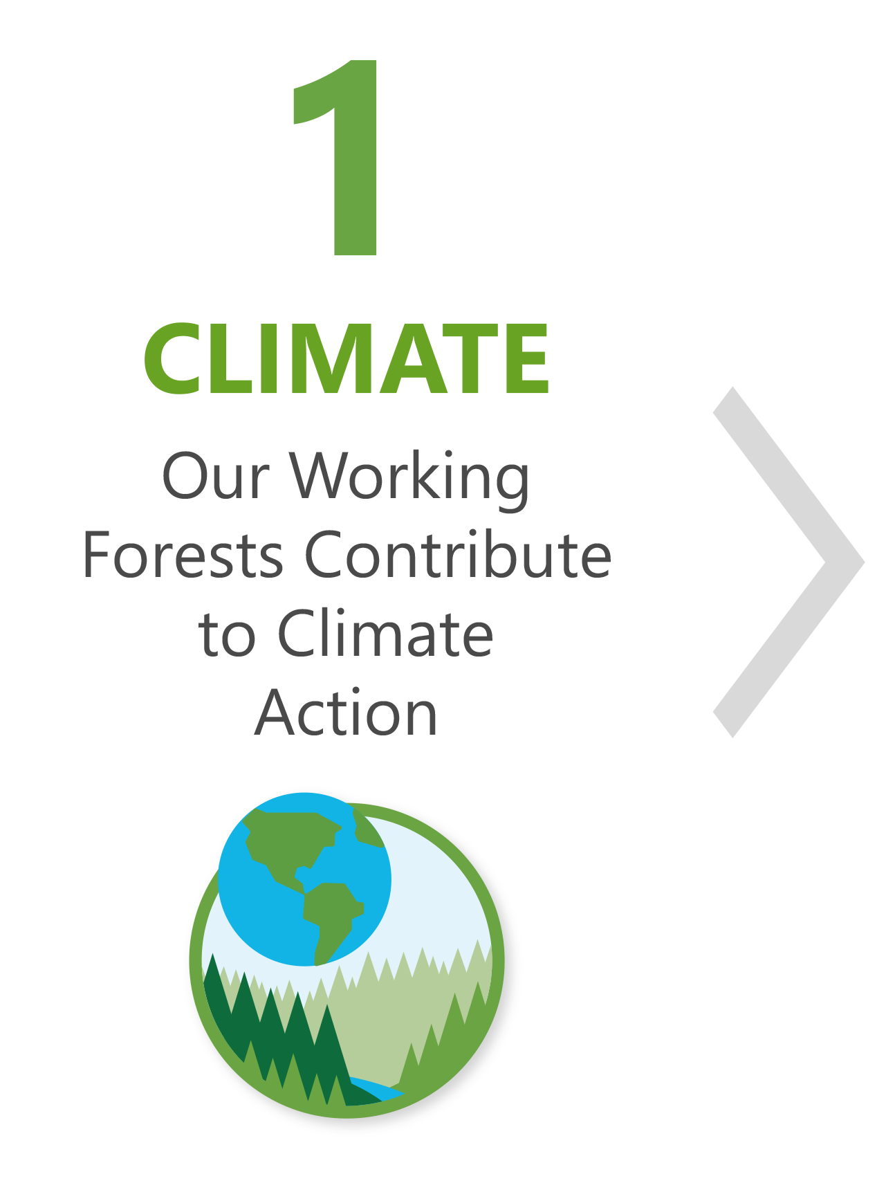 Climate: Our Working Forests Contribute To Climate Change Solutions