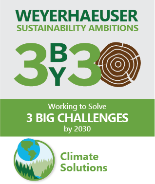 Weyerhaeuser Sustainability Ambitions Climate Change Solutions graphic