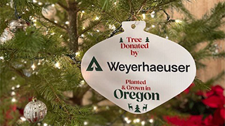Image of a tag idenfying a tree as having been donated by Weyerhaeuser.