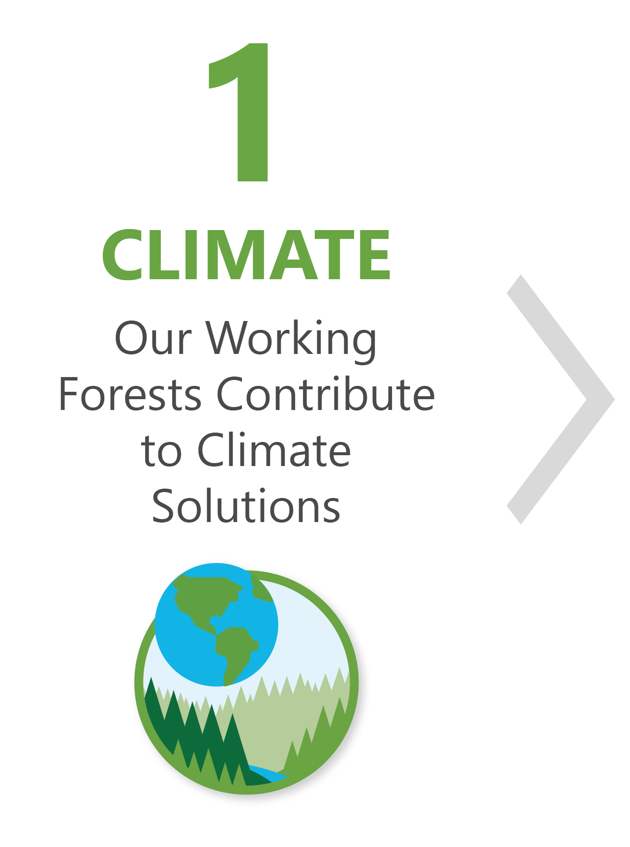 Climate: Our Working Forests Contribute To Climate Change Solutions