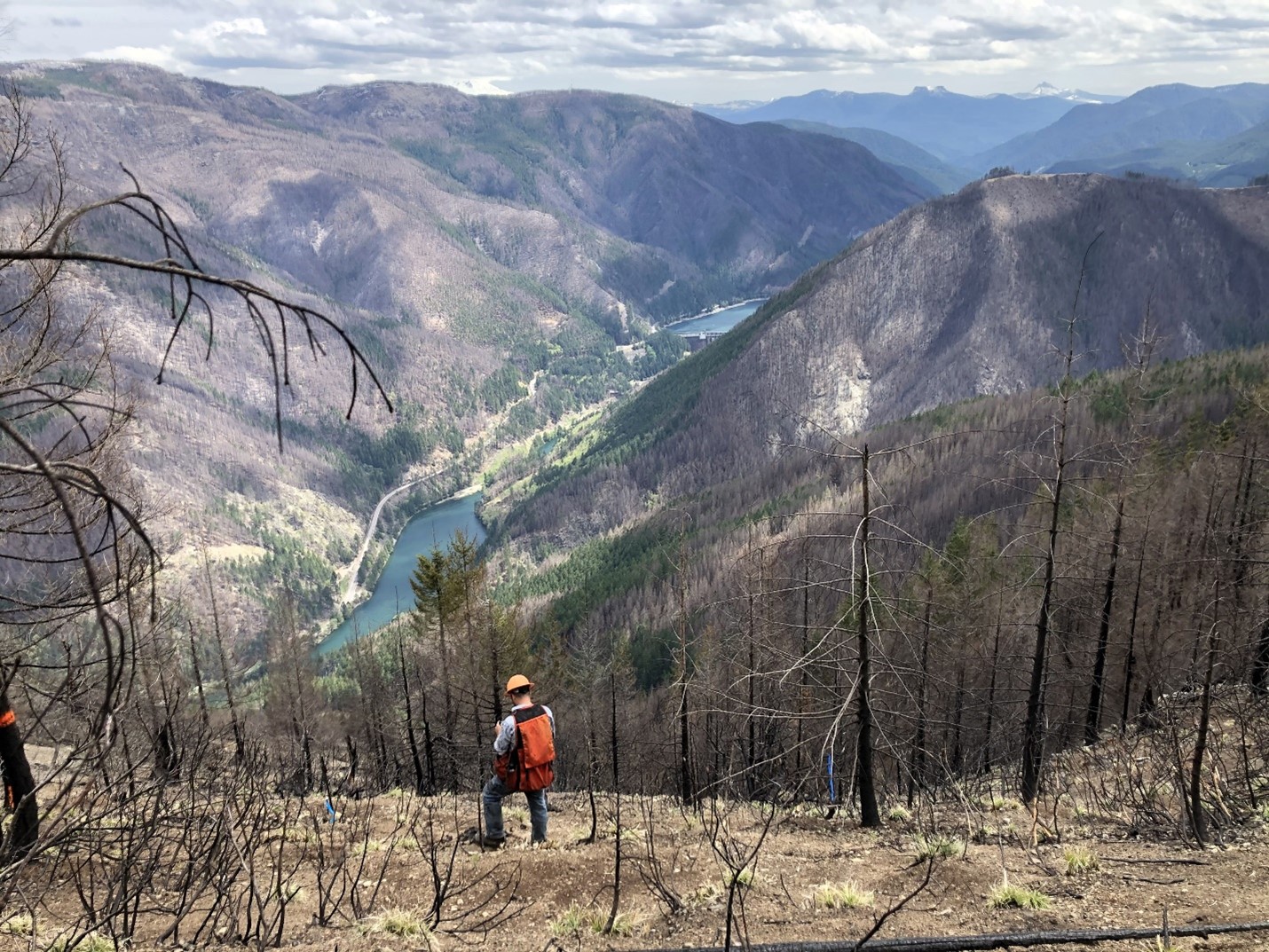 Image of the aftermath of the Labor Day fires in 2020. A lone fireman stands among burned tree trunks along a mountainside. In the background is a valley with a river running through it. The mountains on either side have very little vegetation remaining.