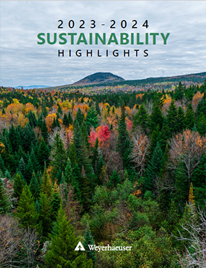 Image of the 2023-24 Sustainability Highlights cover, with a field of trees in the foreground and a mountain in the background.