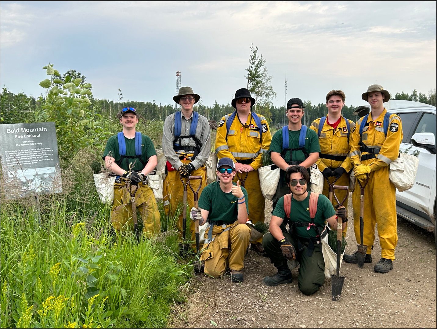 Image of the Junior Forest Rangers on land Weyerhaeuser manages in Grande Prairie this summer.