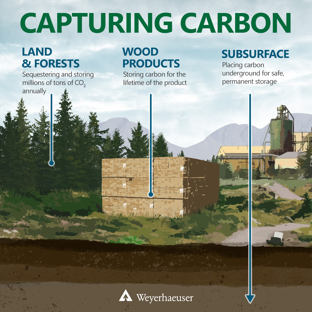 Capturing Carbon infographic