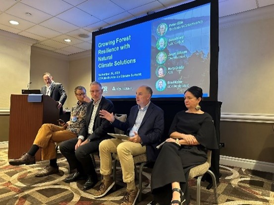 Image of Jason Gibson, director of Forest Carbon, during a panel discussion at Climate Week NYC 2024.