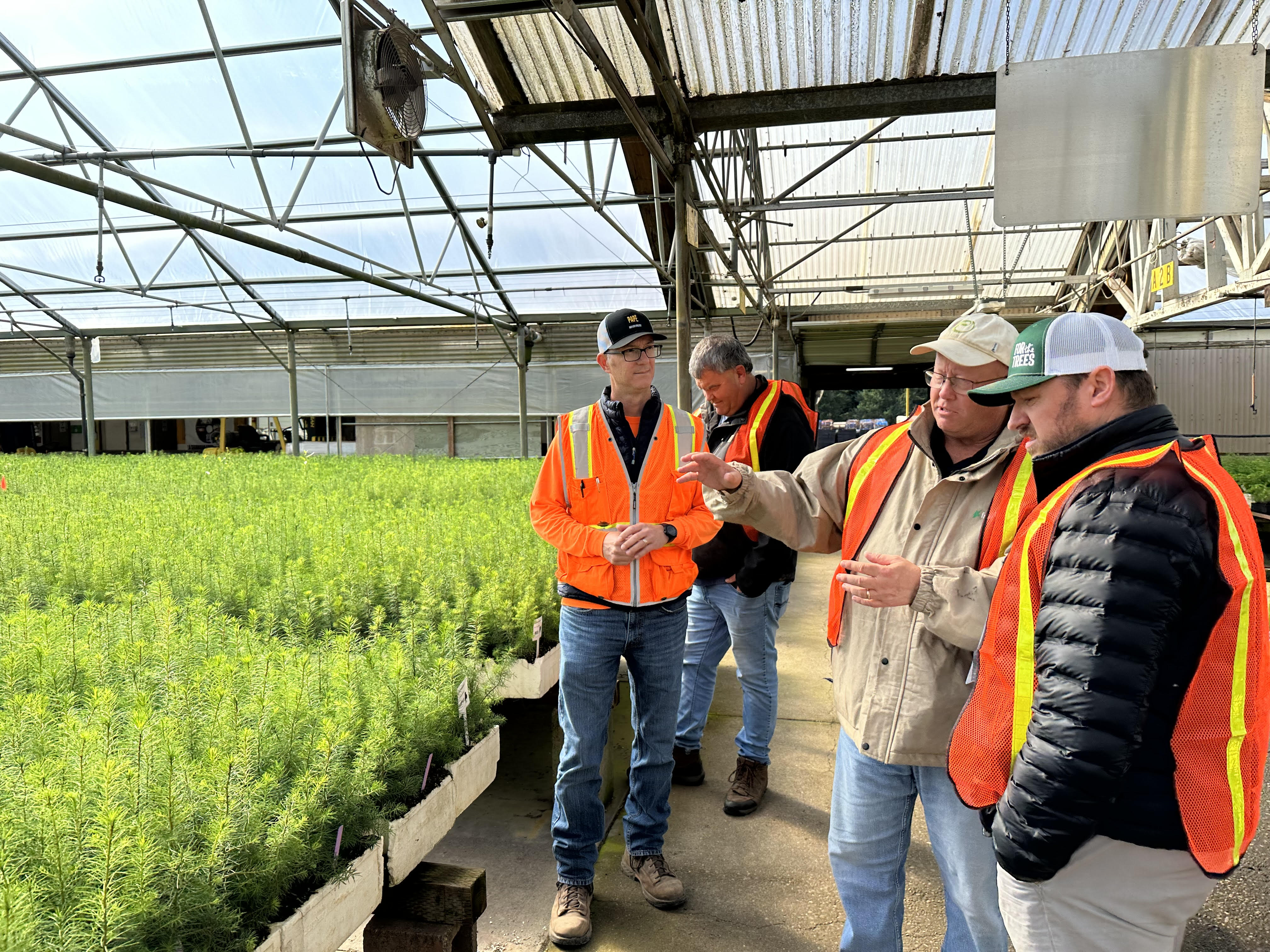 Image of guests admiring Douglas-fir seedlings in the Turner greenhouse.