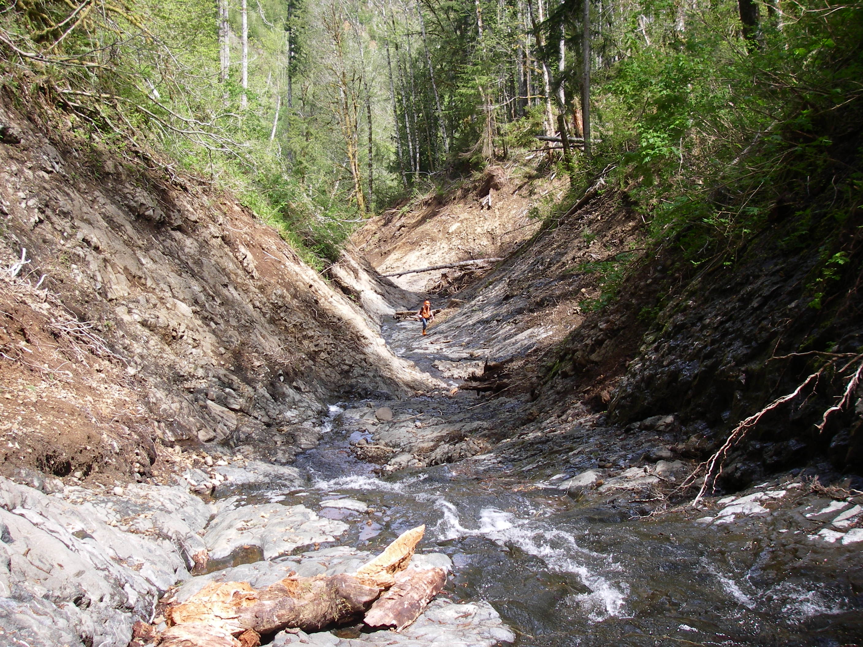 Image showing a creek flowing in a creekbed with a person wearing orange safety gear in the distance. Trees line either side of the creekbed.