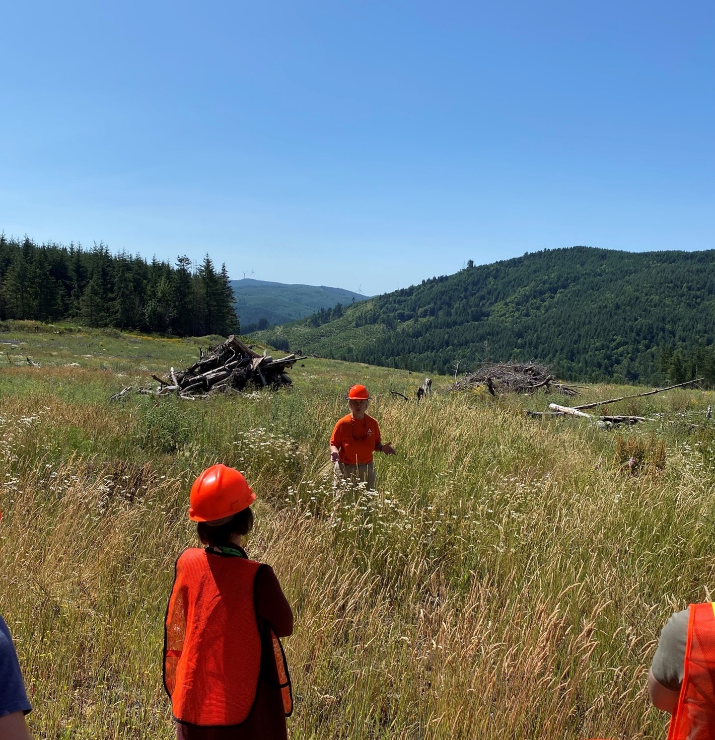 Image of forester Maria Erdmann explaining how we replant after harvesting during a tour of the Vail Tree Farm on July 12