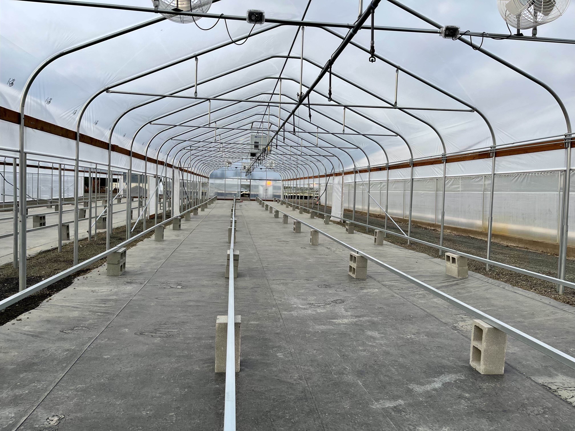 Image of the interior of one of the new greenhouses.