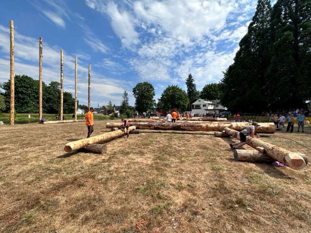 Image of some of the 56 logs Weyerhaeuser donated for the competitions.