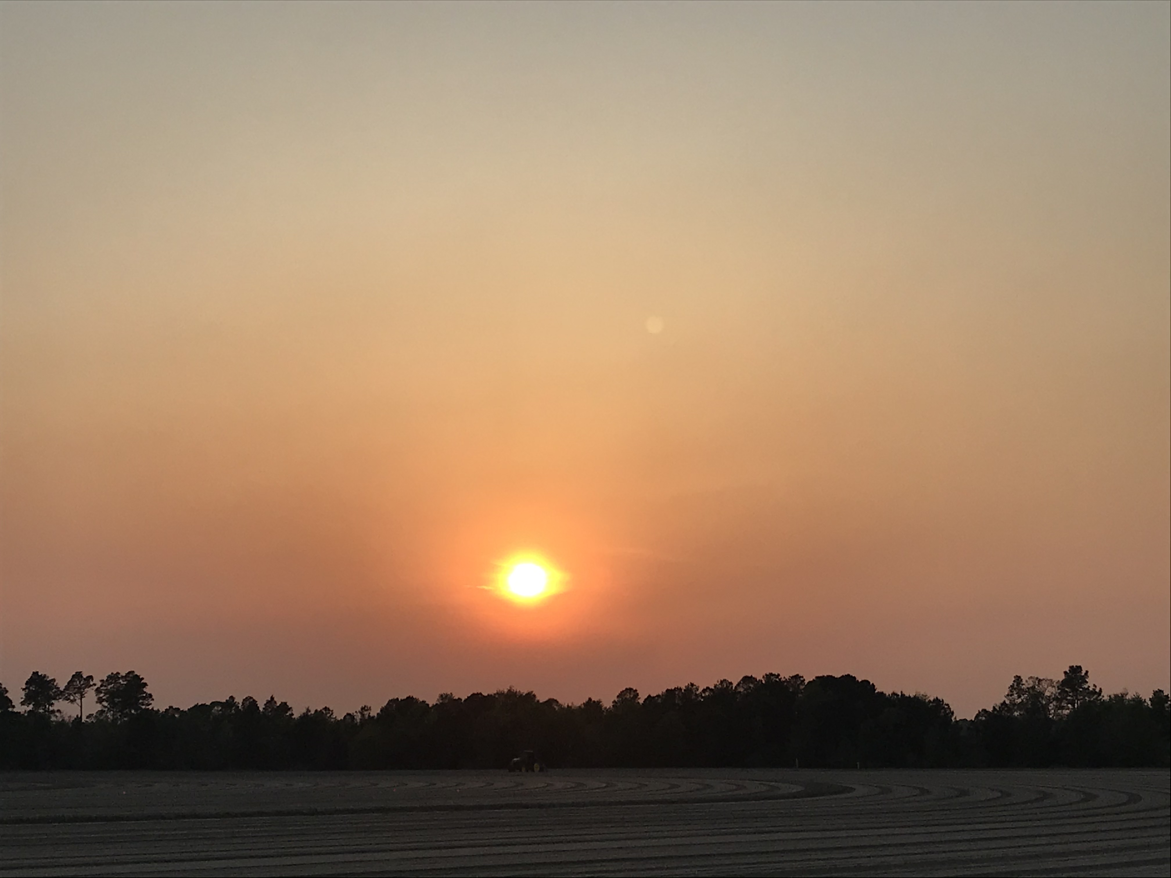 Image of the sunset in Aiken after a hard day’s work with curved, planted beds and a tiny lone tractor/sower.