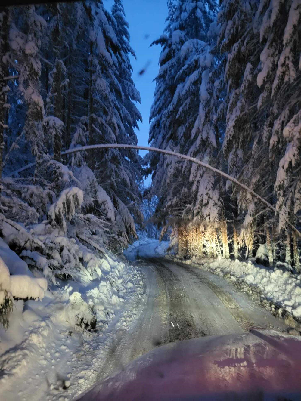 Image of a snowy, icy road, which Wanika identifies as a challenge. On either side of the road, snow-laden evergreens are there, along with a "tunnel" created by a branch weighed down by snow.