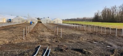 Image of leveled ground at Turner, where the new greenhouses are ready to be built.